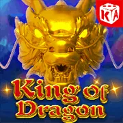 Bước 4: Đặt cược và theo dõi