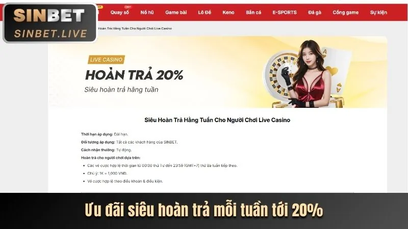 Các hành vi bị cấm và hậu quả tại cwin333 casino